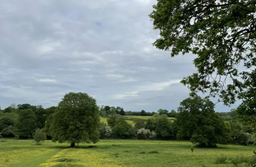 Coundon Wedge