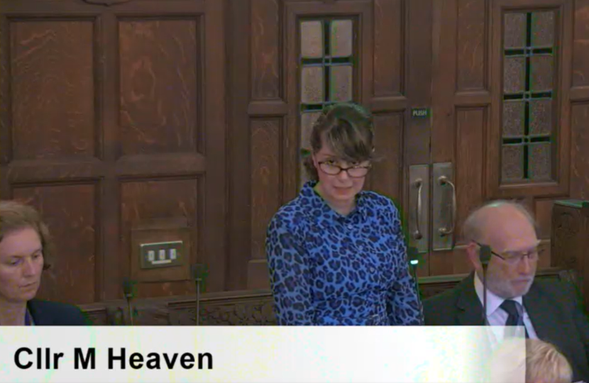 Cllr Mattie Heaven raising concerns in Full Council 8th Sept 2026
