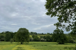 Coundon Wedge