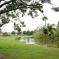 Picture of Quinton Pool