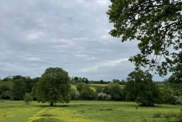 Coundon Wedge